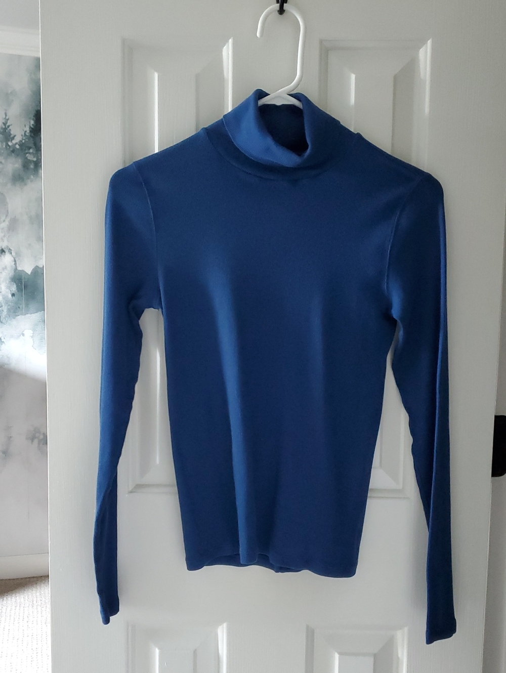 Everlane The Luxe Ribbed Turtleneck, Royal Blue (S)